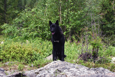 Similar image 21539327