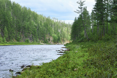 Similar image 21539328