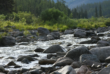 Similar image 21539330