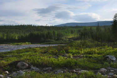 Similar image 21539331