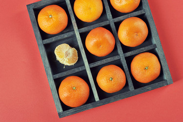 Similar image 21537294