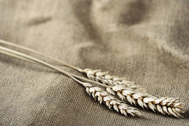 Similar image 21536353