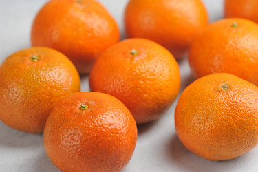 Similar image 21536917