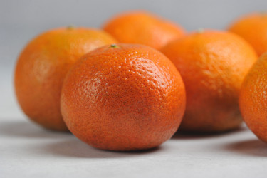 Similar image 21536919