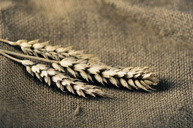 Similar image 21536936