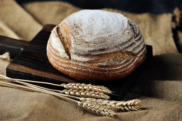 Similar image 21536974