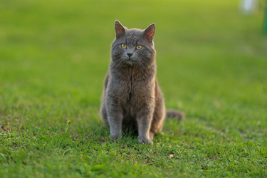 Similar image 21536358