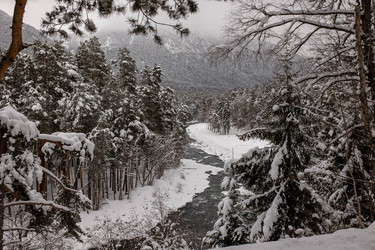 Similar image 21536359