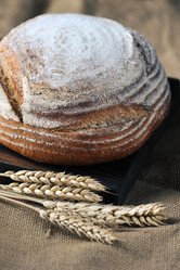 Similar image 21536980