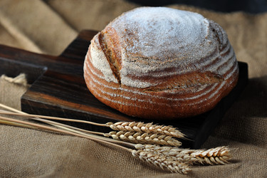 Similar image 21536989