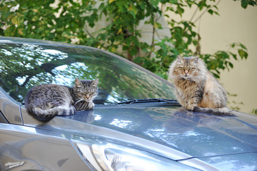 Similar image 21537002