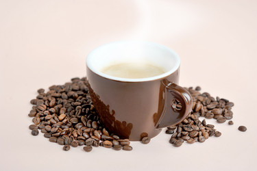 Similar image 21537004