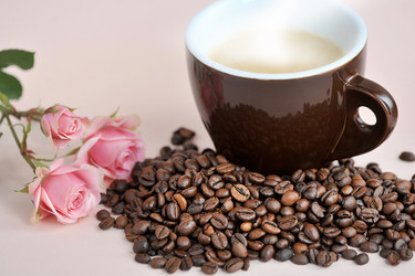 Similar image 21537006