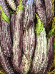 Similar image 21537012