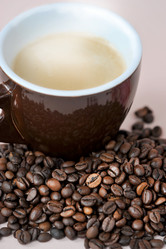 Similar image 21537304