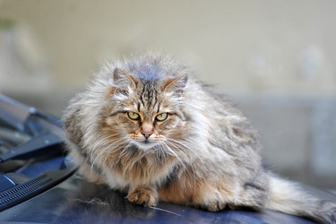 Similar image 21537314