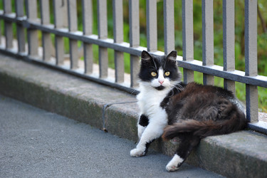 Similar image 21536364