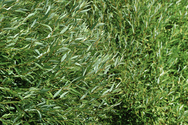 Similar image 21536388