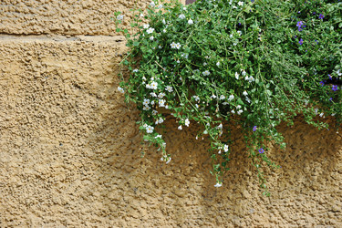 Similar image 21536557