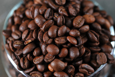 Similar image 21536571