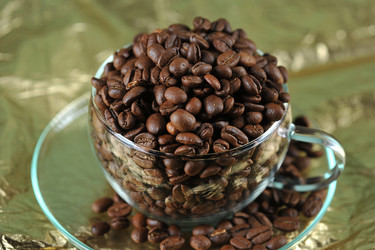 Similar image 21537082