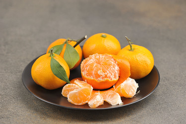 Similar image 21537083