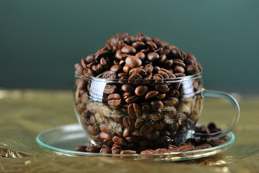 Similar image 21537084