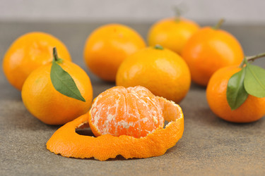 Similar image 21537096