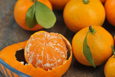 Similar image 21537100