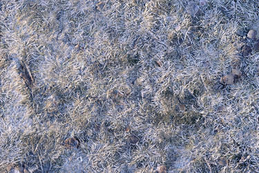 Similar image 21537104