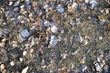 Similar image 21537105