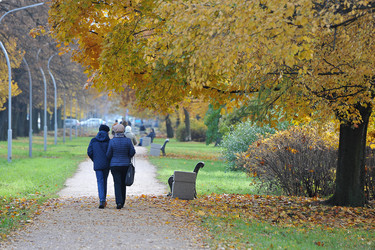 Similar image 21537112