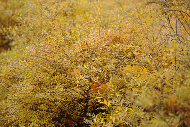 Similar image 21537115