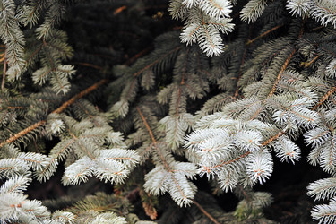 Similar image 21537118