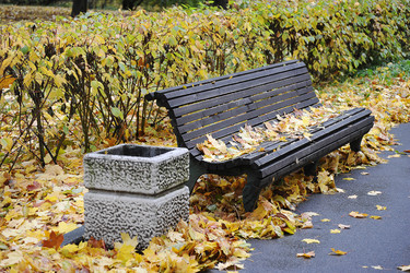 Similar image 21537119