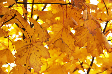 Similar image 21537345