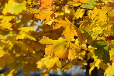 Similar image 21537346