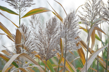 Similar image 21537360