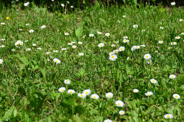 Similar image 21537681