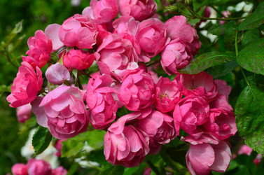 Similar image 21537684