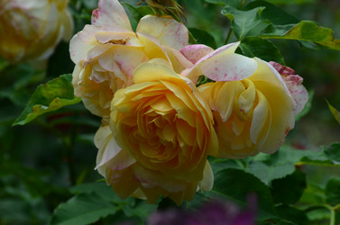 Similar image 21537685