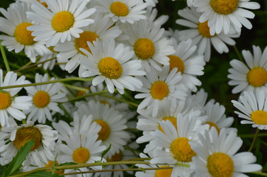 Similar image 21537686