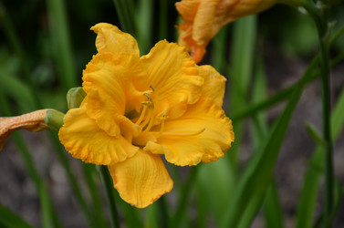 Similar image 21537687