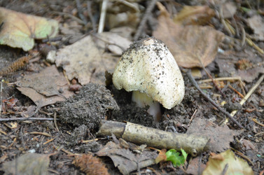 Similar image 21537689