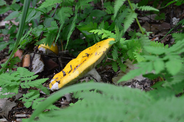 Similar image 21537690