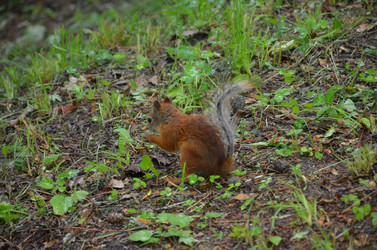 Similar image 21537691