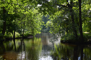 Similar image 21537693