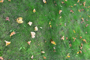 Similar image 21537694