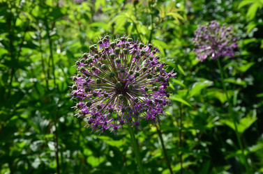 Similar image 21537696