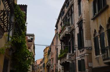 Similar image 21537697